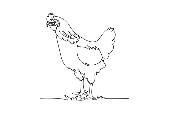 Single one line drawing domestic farm hen chicken standing upright alertly on the ground. Poultry livestock, rural agriculture, feathered charm. Continuous line draw design graphic vector illustration