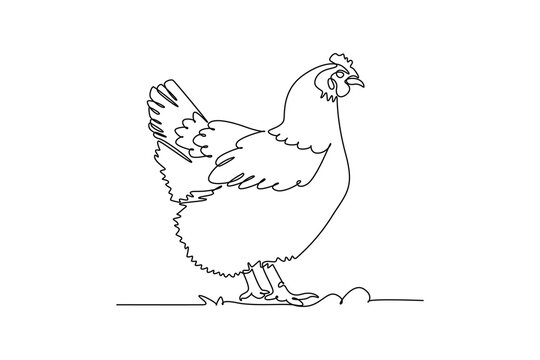 Single one line drawing animal farm chicken hen standing on the ground, showcasing feathered wing, crest comb, domestic poultry livestock fauna. Continuous line draw design graphic vector illustration