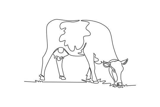 Continuous one line drawing dairy cow grazing calmly on pasture grass. Distinct udder, spotted body marking, and rural agricultural livestock charm. Single line draw design vector graphic illustration