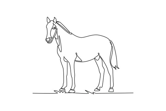 Single continuous line drawing farm horse standing peacefully on the pasture grass. Trimmed mane, slender legs, domestic equine nature, rustic ranch. One line draw graphic design vector illustration