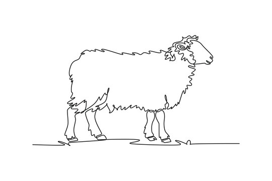 Single one line drawing fluffy farm sheep standing attentively on the ground. Wool fleece, domestic livestock biology, and pastoral agriculture. Continuous line draw design graphic vector illustration