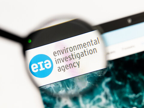 Milan, Italy 2026, 15 AGO Closeup of EIA Environmental investigation agency website page on a laptop screen. Focus on EIA Environmental investigation agency logo under a magnifying glass.