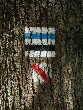 Hiking trail marker on a tree. Black and blue route sign.