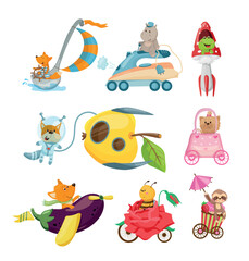 Fototapeta premium Vector collection of cute animal characters riding funny imaginative food, flower, and household object vehicles for nursery prints and kids design.