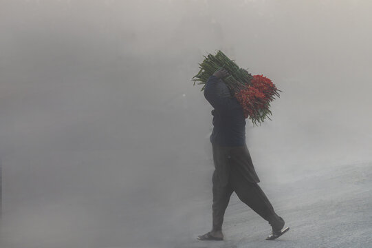 View of a worker carrying a large bundle of red flowers on their head while walking through thick smoke at Mian Phool Mandi in Naain Sukh, Punjab, Pakistan.