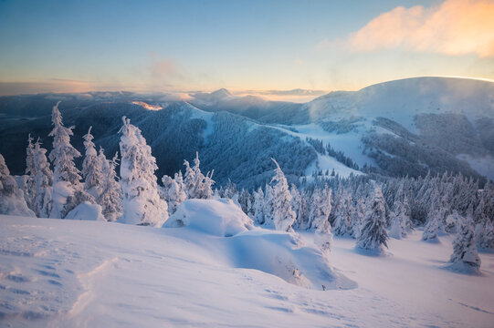 View of Borisov peak surrounded by snow-covered pine trees and pristine winter landscape during golden hour in Velka Fatra mountains, Zilina Region, Slovakia.