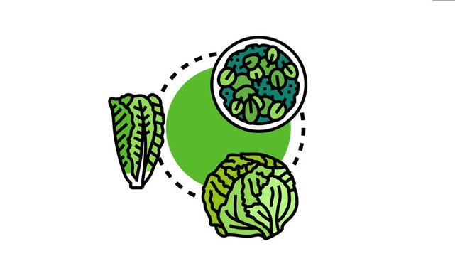 Leafy greens such as romaine and iceberg lettuce transforming into a vibrant, healthy dish, symbolizing fresh vegetable consumption and organic food choices
