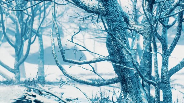 Trees stand without leaves in an open area covered with snow. The scene is bright and cold, showing the beauty of winter. Branches stretch towards the sky in a quiet and stark environment.