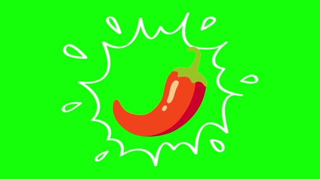 Red chili, cayenne pepper on water splash isolated animation. Animated vector motion graphic video on green screen or alpha channel. Illustration of fresh, organic, healthy vegetable and food icon