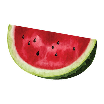 Watercolor Watermelon Illustration Isolated on White Background. Perfect for summer, fruit, food, healthy eating, menu, packaging, and tropical designs.