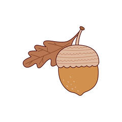 Acorn Botanical Element's © Istiqomah