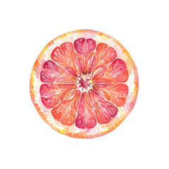 Obraz premium Citrus Slice Watercolor: A vibrant watercolor illustration of a ruby red grapefruit slice, showcasing its juicy segments and textured rind, with a bright and fresh aesthetic.
