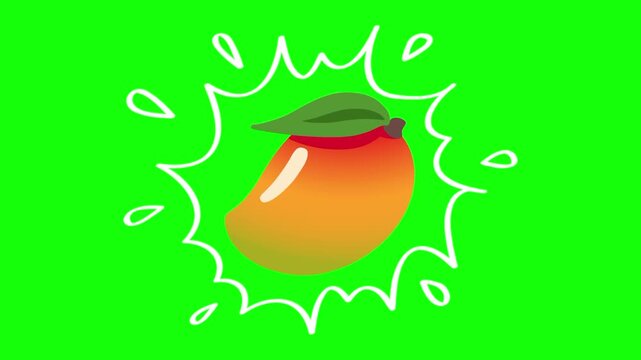 Tropical mango fruit on water splash isolated animation. Animated vector motion graphic video on green screen or alpha channel. Illustration of fresh, organic, healthy fruits and food icon