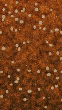 Bokeh light spots on brown texture background. 2d animation