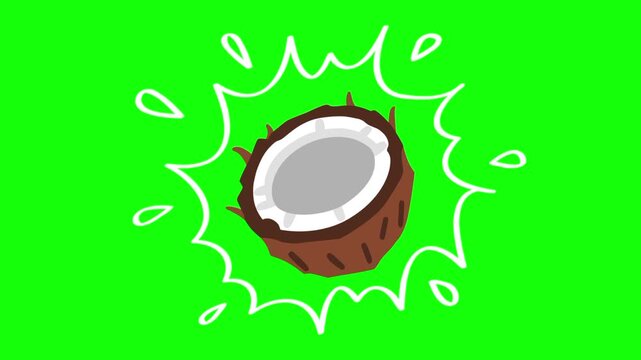 half coconut on water splash, isolated fruit animation. Animated vector motion graphic video on green screen or alpha channel. Illustration of fresh, organic, healthy fruits and food icon