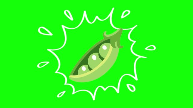 Peas on water splash, isolated vegetable animation. Animated vector motion graphic video on green screen or alpha channel. Illustration of fresh, organic, healthy vegetables and food icon