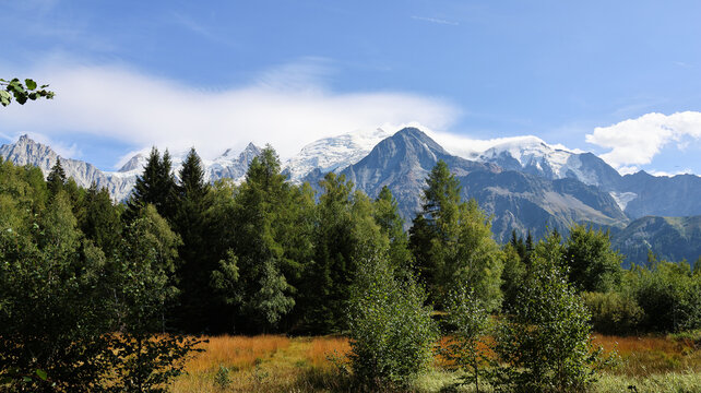 View of the Mont Blanc massif with its iconic glaciers rising above a dense pine forest and autumn-colored meadow in Chamonix, Auvergne-Rhone-Alpes, France.