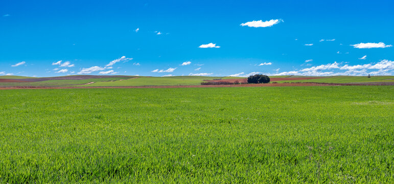 Agricultural Fields, Lagunas de Villaf&aacute;fila Natural Reserve, Natura 2000, Zamora, Castilla y Le&oacute;n, Spain, Europe