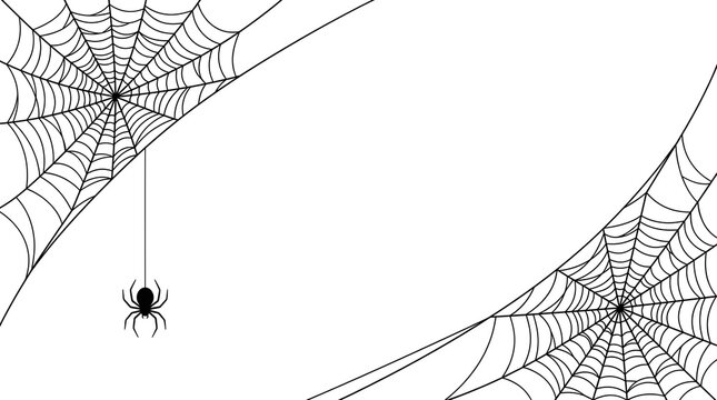 A spooky halloween illustration depicts a delicate spider hanging from its web creating a chilling and atmospheric scene for the holiday