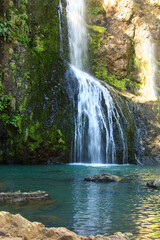 Obraz premium A cascading waterfall tumbles down a moss-covered cliff into a vivid turquoise pool, framed by native New Zealand rainforest. Kitekite Falls, Waitakere Ranges, New Zealand
