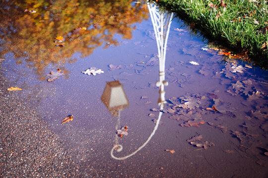 Reflection of a lantern in a puddle in an autumn park, fallen leaves, a calm, peaceful mood, an autumn atmosphere