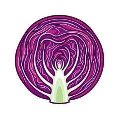 Obraz premium Illustration of a Cross-Section of Fresh Red Cabbage
