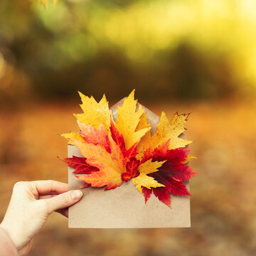 A woman holds an envelope with autumn leaves against the backdrop of an autumn park, autumn concept. Letter with leaves. Autumn message