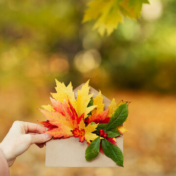 A woman holds an envelope with autumn leaves against the backdrop of an autumn park, autumn concept. Letter with leaves. Autumn message