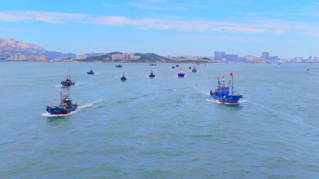 Aerial view of numerous fishing boats sailing out to sea after fishing moratorium in China
Thousands of fishing vessels depart for fishing on the Yellow Sea, Chinese coastal fishery culture