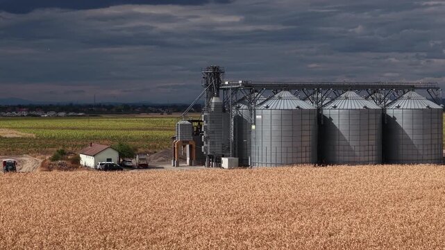 An industrial grain silo complex sits beside a golden wheat field with dark storm clouds gathering in the dramatic sky.