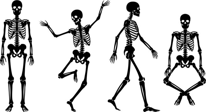 Halloween Skeleton Silhouette Collection &ndash; Dancing Human Skeleton Vector SetHalloween Skeleton Silhouette Collection &ndash; Dancing Human Skeleton Vector Set