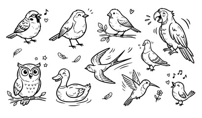 Fototapeta premium Cute Hand Drawn Bird Doodle Set with Sparrow Owl Parrot Duck and Hummingbird Vector