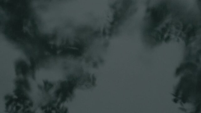 Close-up of wet grey metal windowsill with silhouettes of swaying  in wind tree branches reflections, raindrops falling and creating ripples on water surface. Melancholic rainy weather blurred video