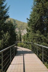 Obraz premium Vertical mountain trail with a pedestrian bridge framed by evergreen trees and alpine slopes, conveying hiking, exploration and nature travel.