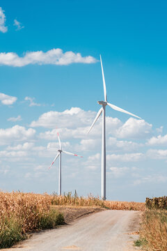 View of Wind farm Alibunar with tall white wind turbines standing in a dry corn field next to a dirt road under a clear blue sky in Alibunar, Vojvodina, Serbia.