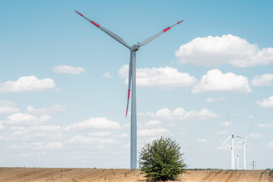 View of Wind farm Alibunar featuring a large wind turbine with red-tipped blades standing in a field under a blue sky with white clouds in Alibunar, Vojvodina, Serbia.