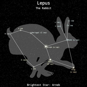 Lepus Constellation Map with Named Stars &ndash; Constellation Map Illustration