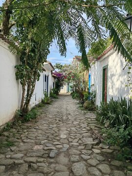 View of the historic cobblestone street in Paraty lined with white colonial buildings, lush tropical plants, and vibrant bougainvillea in Paraty, Rio de Janeiro, Brazil.