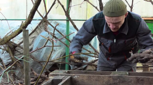 Hardworking farmer in workwear gathering firewood in the backyard during early spring