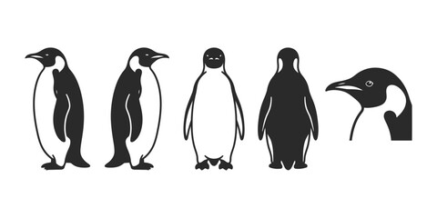 Obraz premium Set of emperor penguin illustrations showing different poses and angles in a simple black and white style