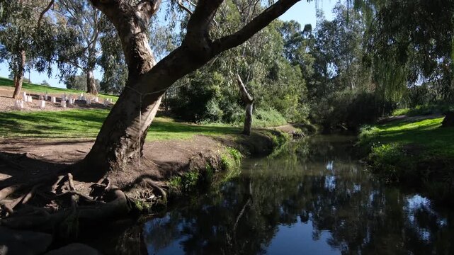 Tranquil environment along Stony Creek in Yarraville, Melbourne, Victoria, Australia, framed by leafy trees, with a person walking a dog in the background. A liveable and peaceful suburban green space