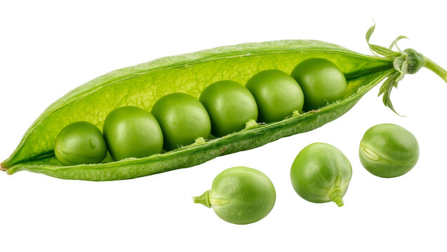 Fresh green pea pod with six round peas inside, isolated on transparent background
