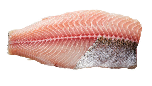 Raw pink salmon fillet with scales, isolated on transparent background