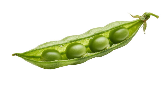 Fresh green pea pod with four round peas inside, isolated on transparent background