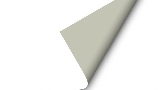 Realistic page turning animation showing a clean paper sheet smoothly curling and flipping across the frame. Ideal for book and publishing concepts
