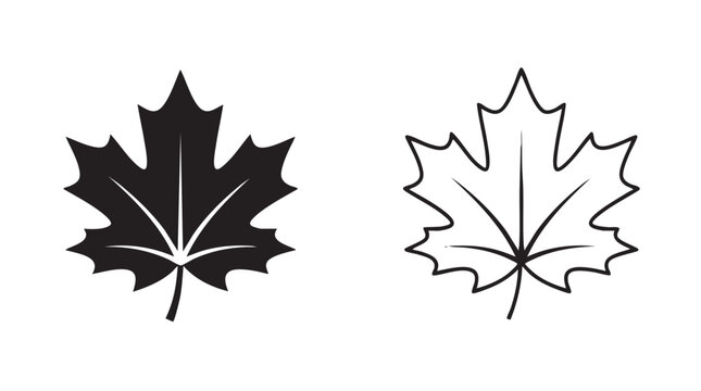 black silhouette with line art maple leaf vector pair icon black silhouette with line art vector pair icon