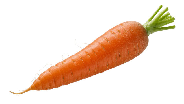 Single fresh orange carrot with green leafy top, isolated on transparent background