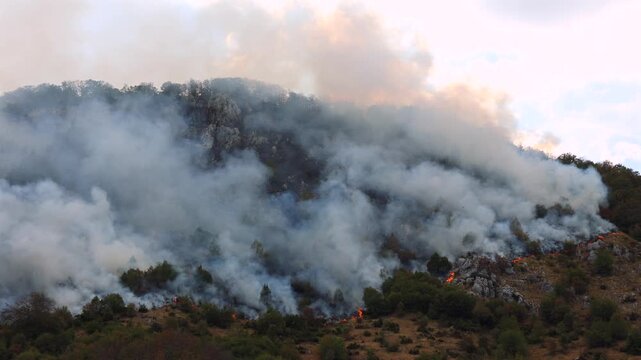 Wildfire Burning Across Mountain Forest. Birds fly above thick smoke and flames on a mountain forest slope during an active wildfire, with trees and rocky terrain partly covered by smoke.