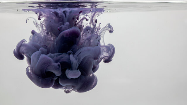 Purple ink dissolving in clear water during a slow motion abstract bloom with fluid dynamics