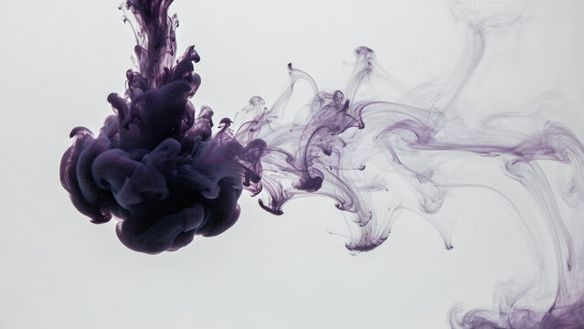 Purple ink cloud blooming in water during a fluid abstract macro study with soft lighting